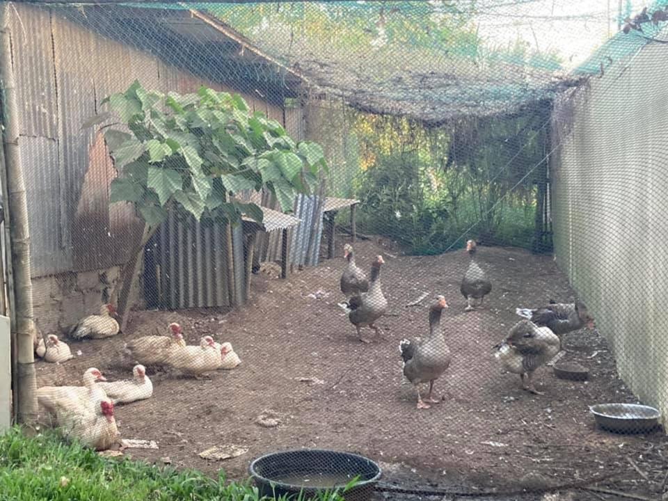 バタンガス アタラヤ ファームハウスヴィラ エクステリア 写真